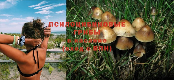 бутират Алзамай