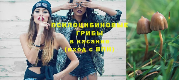 соль ск Алексеевка