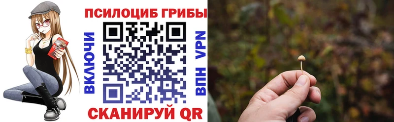 Галлюциногенные грибы Psilocybine cubensis  kraken как зайти  Красноярск 