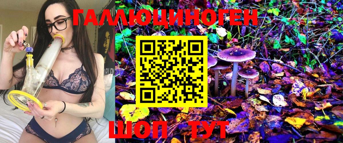 Псилоцибиновые грибы Psilocybine cubensis Красноярск