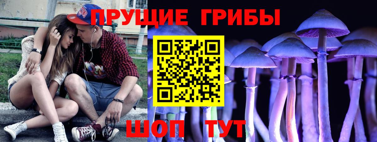 Красноярск  Псилоцибиновые грибы Psilocybine cubensis  Вход с VPN  Псилоцибиновые грибы Cubensis 