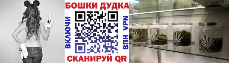 Шишки марихуана OG Kush купить сайты Красноярск